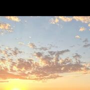 ���������� �������, ���� ������� �������, 37 ���, ������������ ��� ������, ����� � ���������