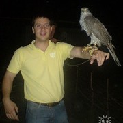  ,   Seva, 46 ,   ,   , c 