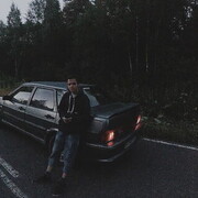  -,   Normazavr, 31 ,   ,   