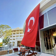 ���������� ���������, ���� ������� Li, 37 ���, ������������ ��� ������, ����� � ���������