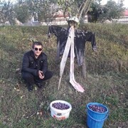 ���������� ������-��-����, ���� ������� Pogos, 37 ���, ������������ ��� ������, ����� � ���������, c�������� ���������, ���������