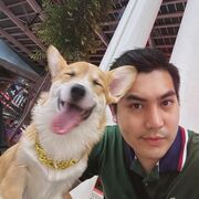 ���������� ���-���������, ���� ������� Daniel, 27 ���, ������������ ��� ������, ����� � ���������