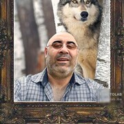 ���������� ������, ���� ������� ������, 50 ���, ������������ ��� ������, ����� � ���������