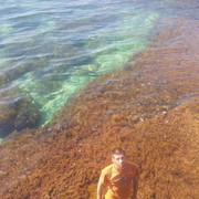 ���������� �����, ���� ������� ������, 39 ���, ������������ ��� ������, ����� � ���������, c�������� ���������