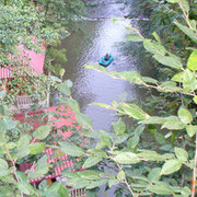  ,   Rasim, 55 ,   ,   , c 