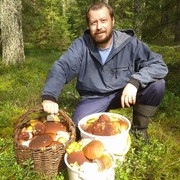 ���������� ���������, ���� ������� Platinum Cat, 50 ���, ������������ ��� ������, ����� � ���������, c�������� ���������