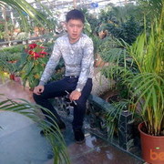  ,   Metiss, 41 ,   