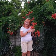  ,   , 51 ,     