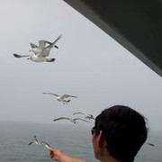  ,   , 60 ,   , 