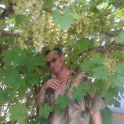  ,   , 53 ,   ,   , c 