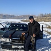  ,   Hushbaht, 38 ,   ,   , c , 