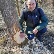 ���� ����� ������