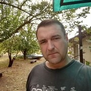  ,  , 44