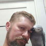  ,   , 43 ,   ,   , 