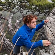 ���������� �����������, ���� ������� ���������, 21 ���, ������������ 