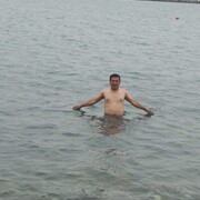  ,   , 43 ,   , 