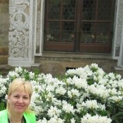 ���������� �����, ���� ������� ���, 53 ����, ������������ ��� ����� � ���������, c�������� ���������