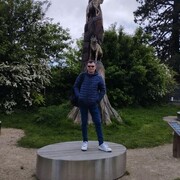  ,  , 55