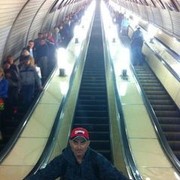  ,   Oren, 51 ,   ,   , c 