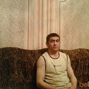  ,   WOLF, 47 ,     , c 
