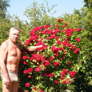 ���������� �����-���������, ���� ������� ���������, 68 ���, ������������ ��� ������