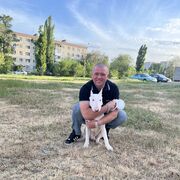 ���������� ������, ���� ������� �������, 38 ���, ������������ ��� ������, ����� � ���������, c�������� ���������, ���������