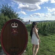 Meissen,   , 44 ,   c 