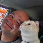 ���������� �����������, ���� ������� ������, 38 ���, ������������ ��� ������, ���������