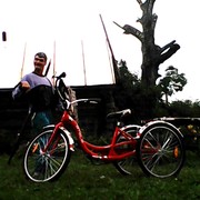 ���������� ���������, ���� ������� ����, 49 ���, ������������ ��� ������, ����� � ���������, c�������� ���������