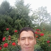 ���������� ������, ���� ������� ����, 37 ���, ������������ 