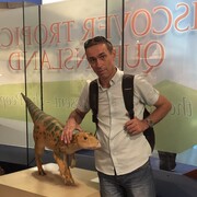 ���������� ����, ���� ������� �������, 51 ���, ������������ ��� ������