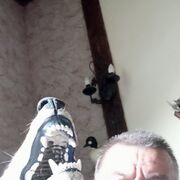  ,   , 69 ,   ,   