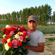  ,    , 39 ,   ,   