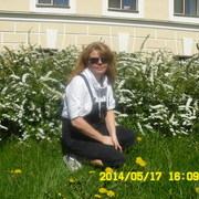  -,   , 43 ,     , c 