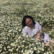 ���������� �����������, ���� ������� ��������, 45 ���, ������������ ��� ����� � ���������, c�������� ���������