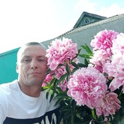 ,   , 46 ,     , c , 