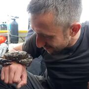 ���������� �������, ���� ������� �����, 37 ���, ������������ ��� ����� � ���������, c�������� ���������