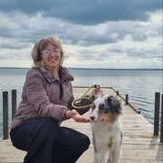 ���������� ���������, ���� ������� ������, 54 ����, ������������ ��� ����� � ���������, c�������� ���������, ���������