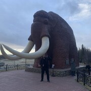 ���������� ����, ���� ������� �������, 33 ����, ������������ ��� ���������