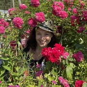 ���������� �������, ���� ������� ���������, 49 ���, ������������ ��� ����� � ���������, c�������� ���������, ���������