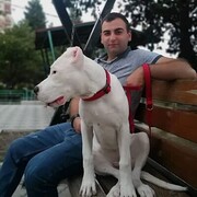  ,   Shako, 26 ,   ,   