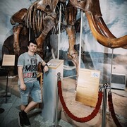  --,   , 33 ,   ,   , c 