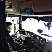 ���������� �����������, ���� ����� ���������, 23 ����, ������������ ��� ������, ����� � ���������