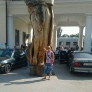 ���������� �������, ���� ������� �������, 35 ���, ������������ ��� ������, ����� � ���������, c�������� ���������, ���������