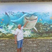  ,   , 95 ,  