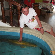 ���������� ������, ���� ������� Sidr, 46 ���, ������������ ��� ����� � ���������, c�������� ���������