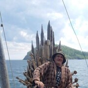 ���������� �������, ���� ������� ���������, 48 ���, ������������ ��� ������, ����� � ���������, c�������� ���������, ���������