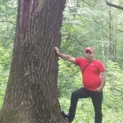 ,  Salman, 46