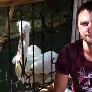 ���������� �����, ���� ������� �������, 39 ���, ������������ ��� ����� � ���������, c�������� ���������