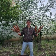 ,   , 42 ,   ,   